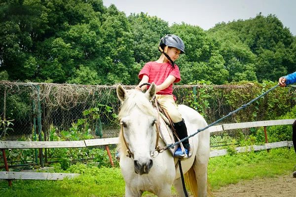 千岛湖三天两夜遛娃攻略,千岛湖遛娃免费景点攻略