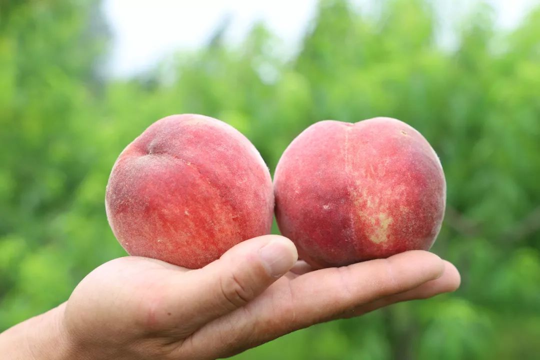 娴峰彛瑗挎捣宀告俯娉夊摢閲屽ソ,闈掑矝瑗挎捣宀告俯娉夊摢閲屽ソ