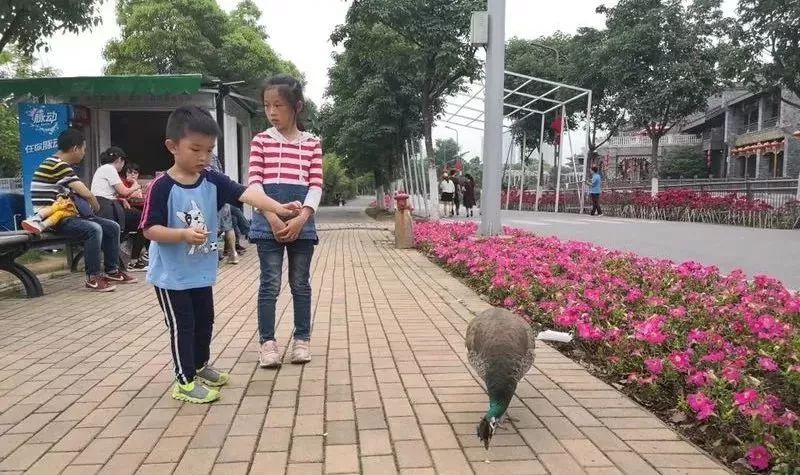 汉口里有什么活动吗,汉口白天儿童旅游攻略