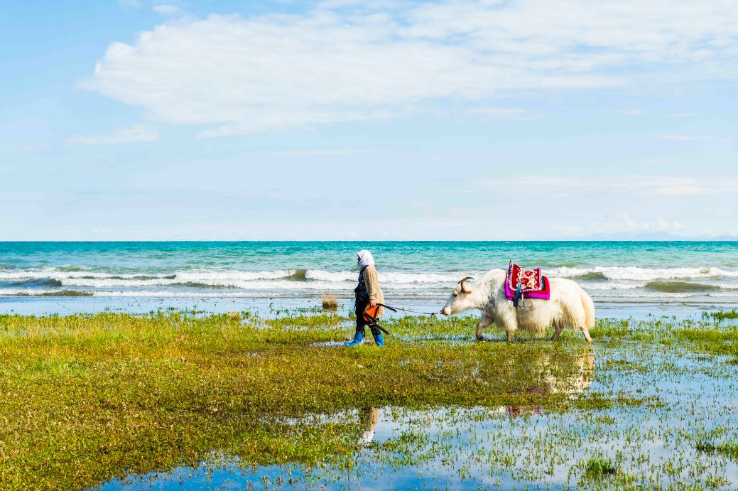 12月份出国亲子游,出国亲子游哪些国家合适