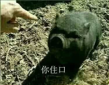 椰子莆田鞋和正品的区别,100多的莆田aj和正品差距