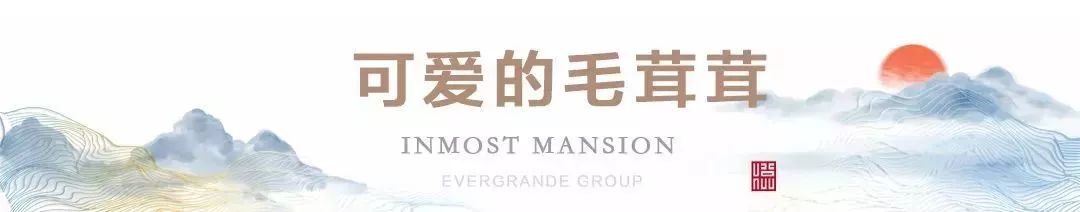 神奇动物巡展,昌吉环宇邻里中心