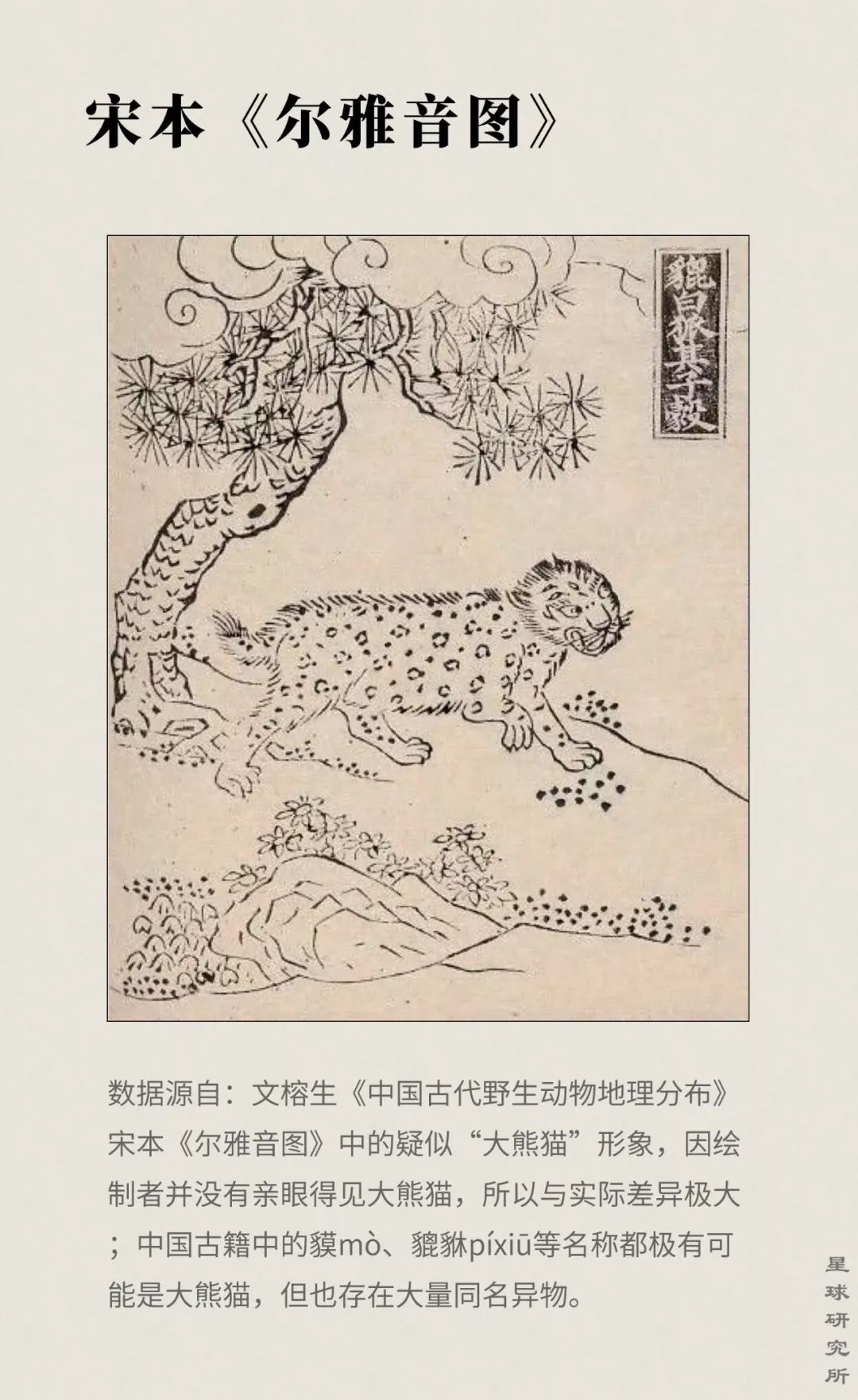 熊猫萌到什么程度,熊猫萌