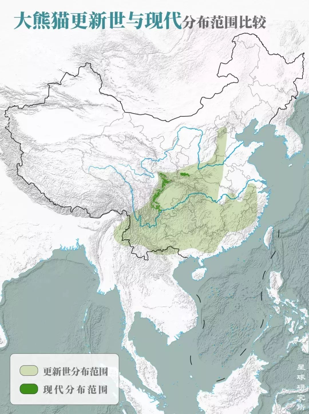 【荐读】熊猫:萌啥子哟,我是要雄起!