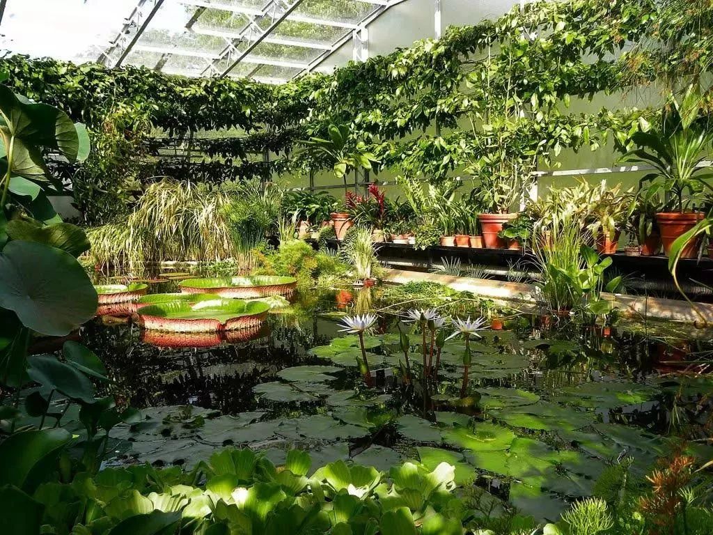 待天气晴好,伦敦阴雨天去哪旅游好