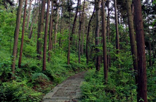 分享|什么?贵州5个公园入选国家级名单,但这两个,连资深玩家都没听说过