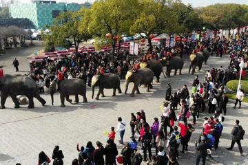 去处｜你真的知道怎么玩转上海野生动物园吗？最全指南在这里！