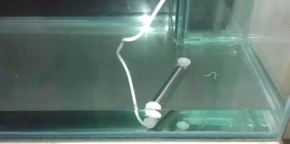 3000左右diy,diy3000元主机