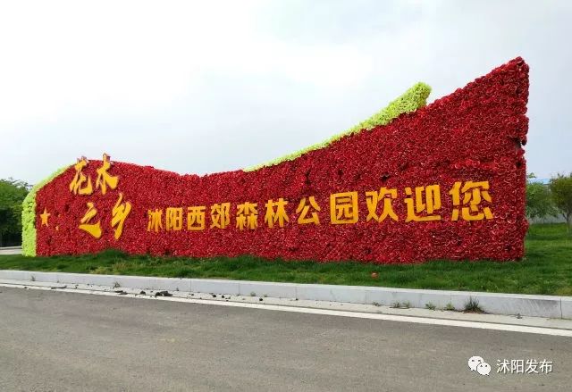 江苏沭阳春日旅游攻略图,沭阳旅游攻略自由行