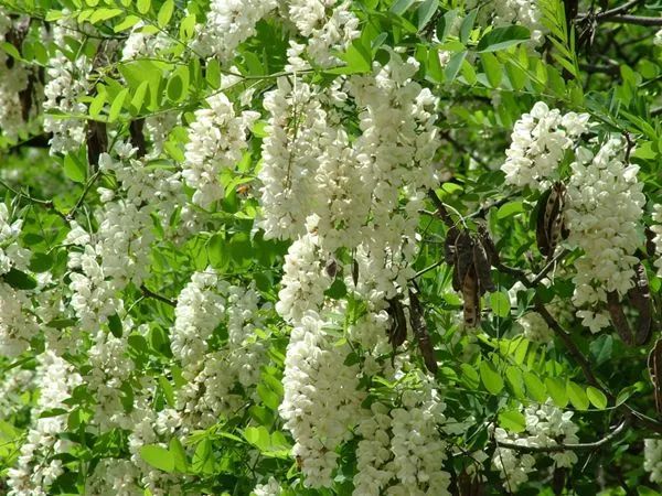 错过等一年,错过等一年歌曲视频