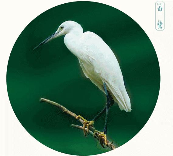 佛山亲子游好去处免门票花海,佛山儿童公园游玩攻略