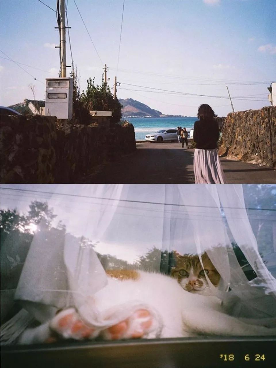 入坑手动胶片机的注意事项,比较好的胶片机推荐