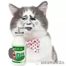 奢侈品管理留学全球第一,中国留学生学奢侈品管理