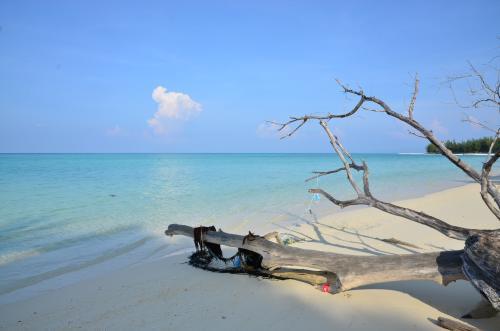亚庇值得去吗,亚庇看日落餐厅