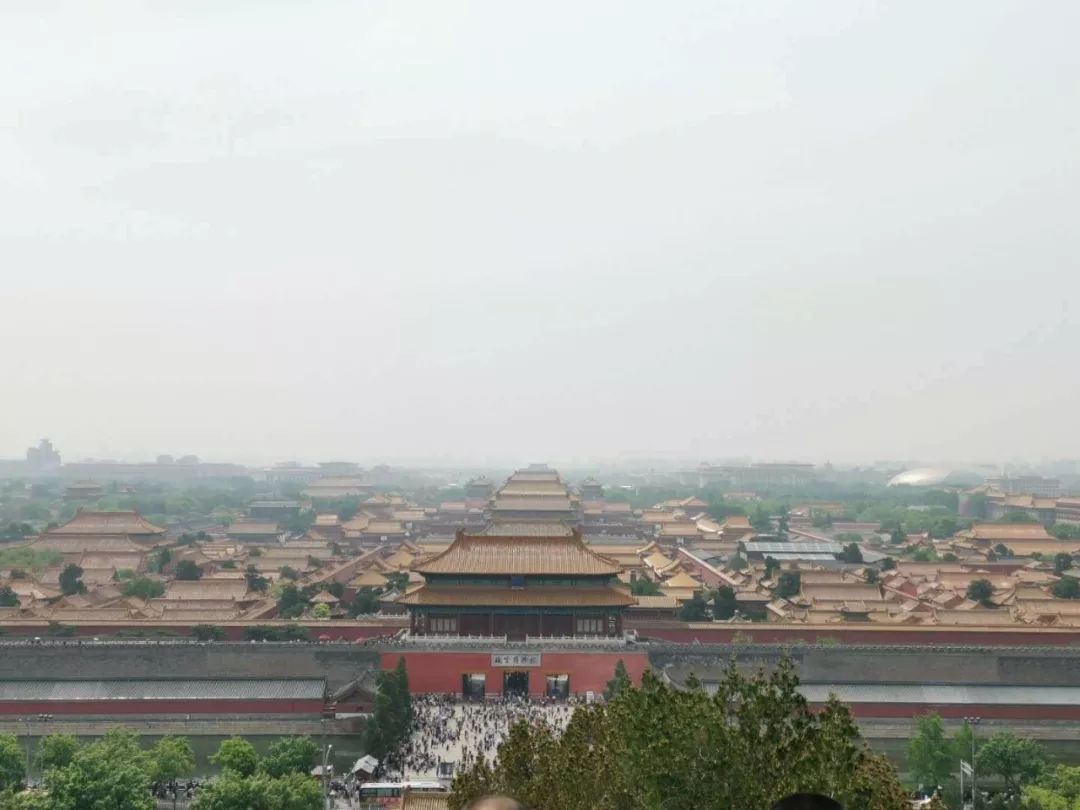 新西兰幼教移民,新西兰幼教留学移民容易吗