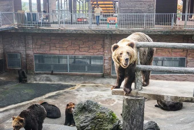 日本九州的宝藏,日本挖出大宝藏