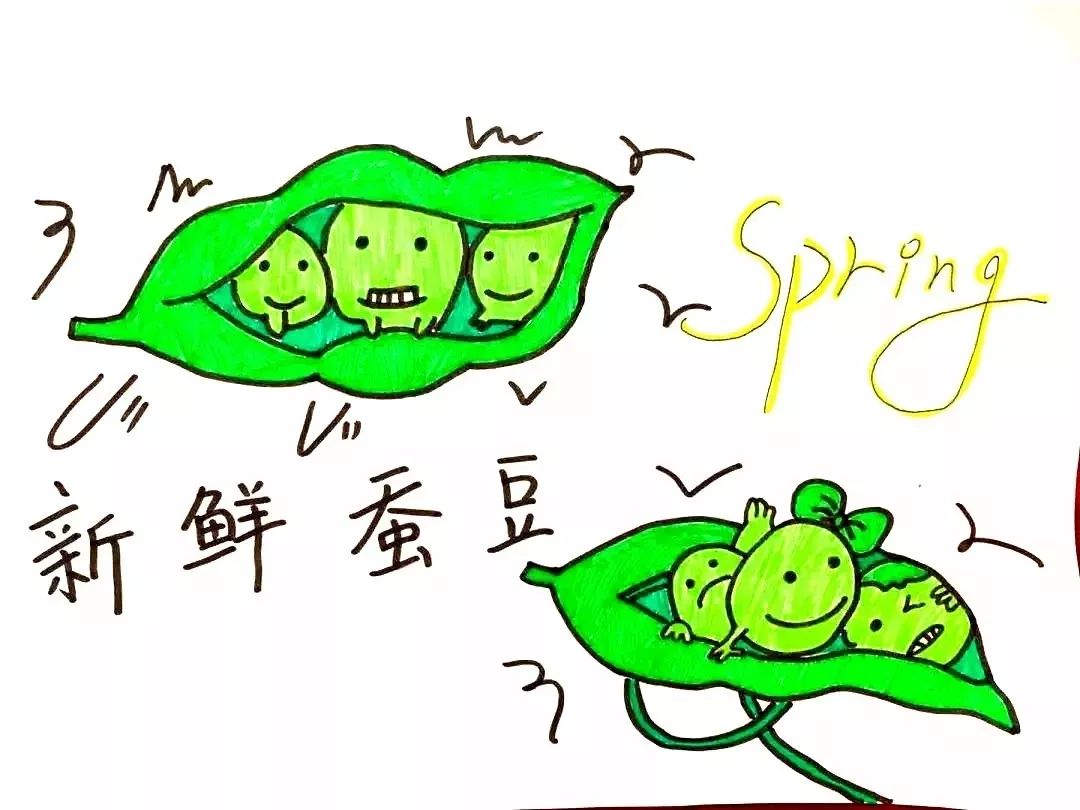 什么是蚕豆病又称什么病,啥是蚕豆病呀