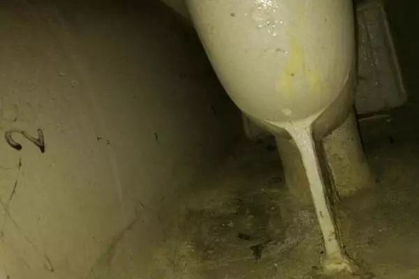 家里有小飞虫和蟑螂,家里装了纱窗还是有小蚊子能进来