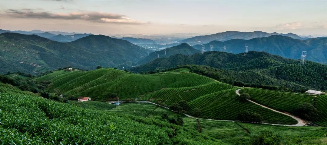 杭州余杭绿道最新规划,余杭绿道路线