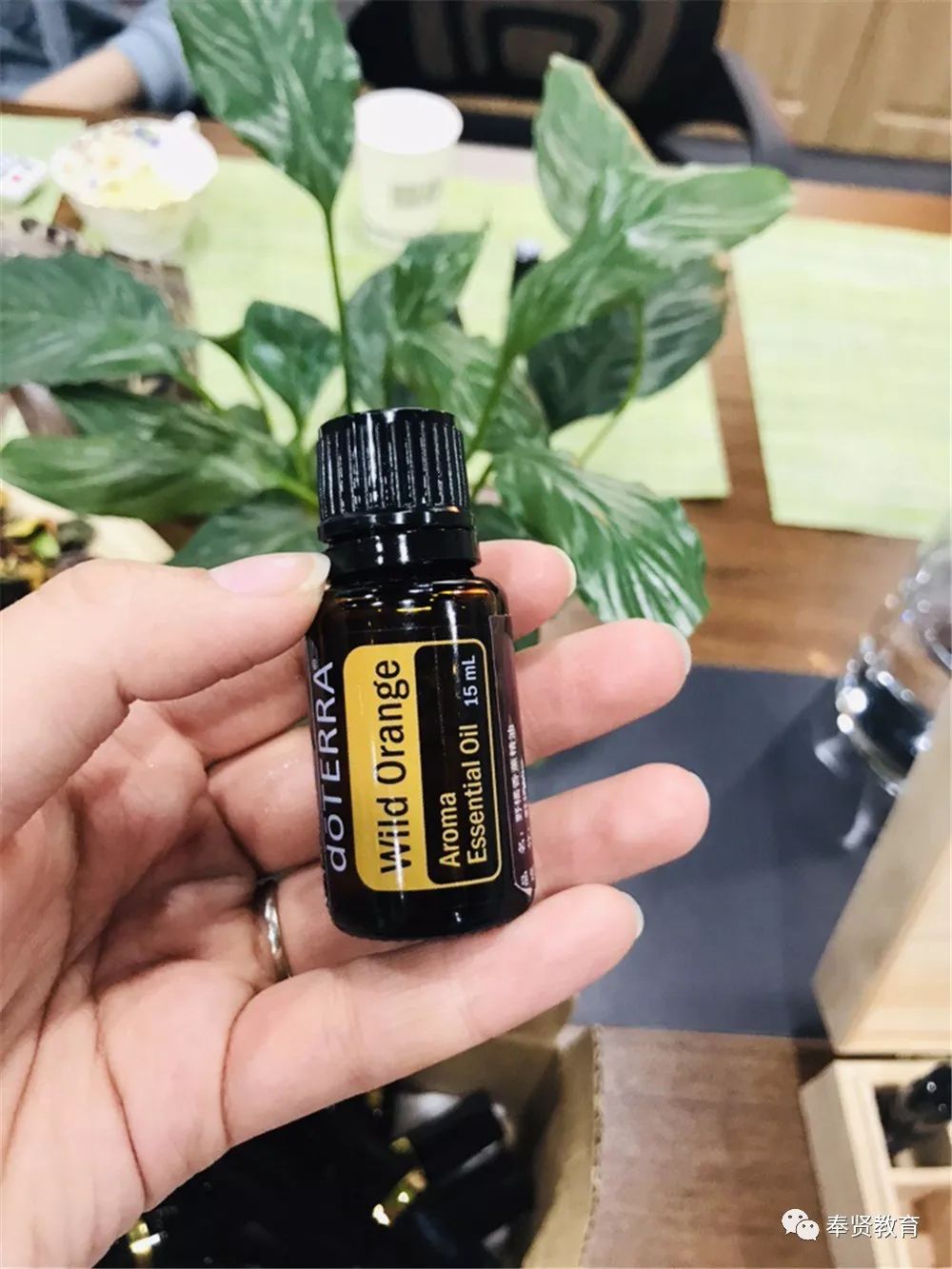 青春聚力|实验幼儿园：水天一色爱在身边