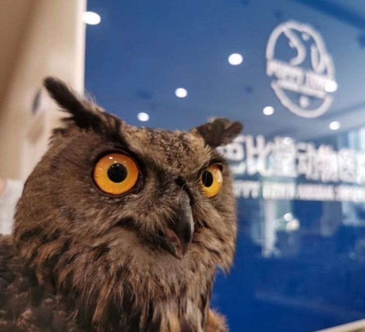 绿联播|“五一”市属公园接客超百万，这家公园人气最旺