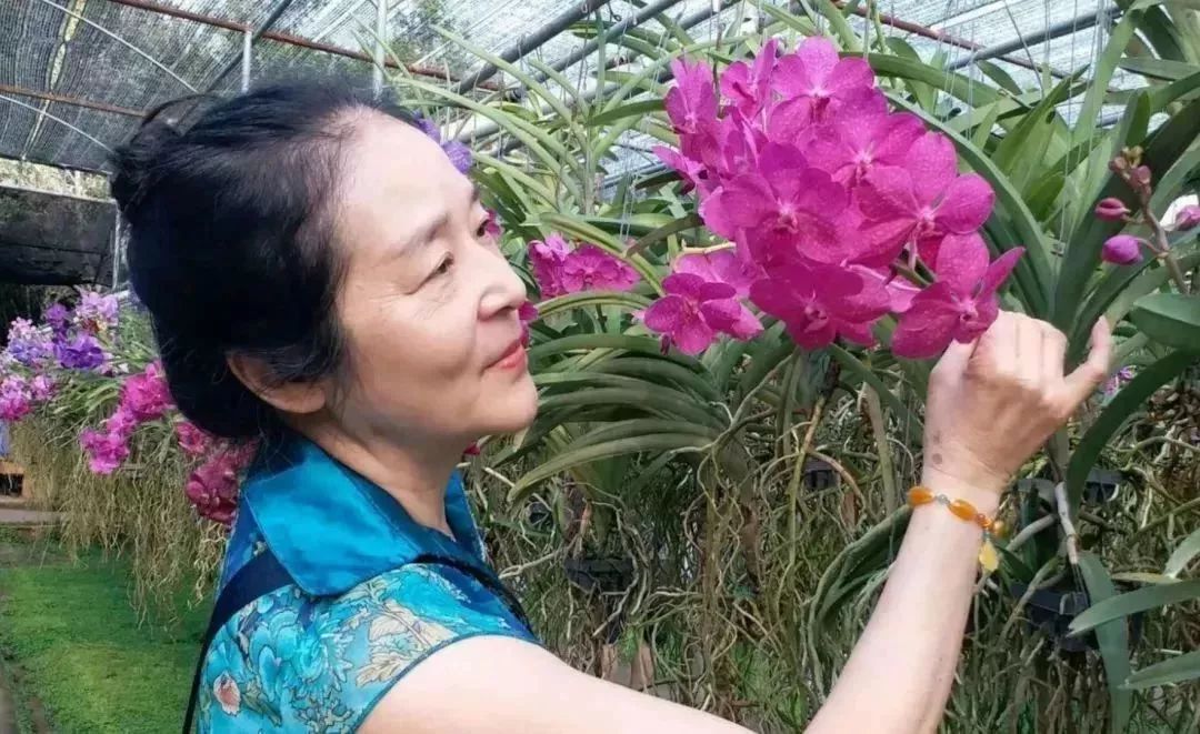 中国大妈旅游拍照标准动作视频,中国大妈拍照十大姿势