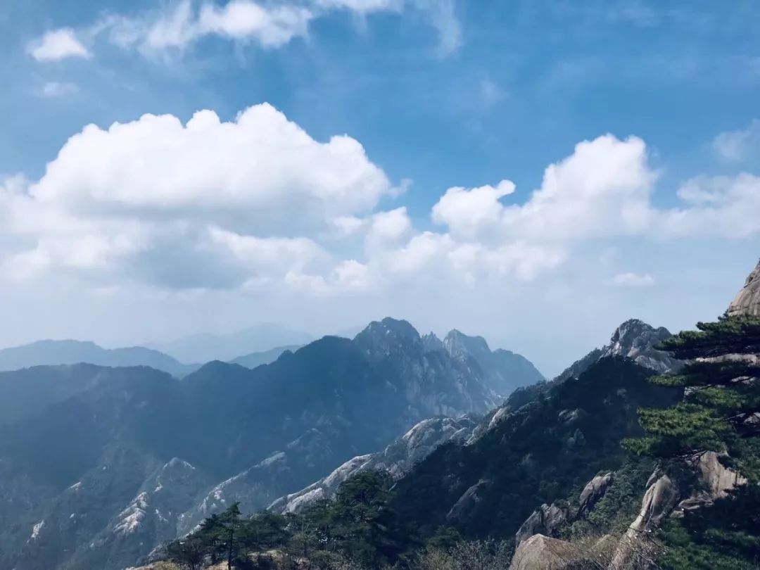 直飞青岛机票特价,五一青岛飞哪里机票便宜