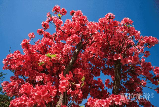 宁波室外十大网红游乐项目,宁波休闲打卡地