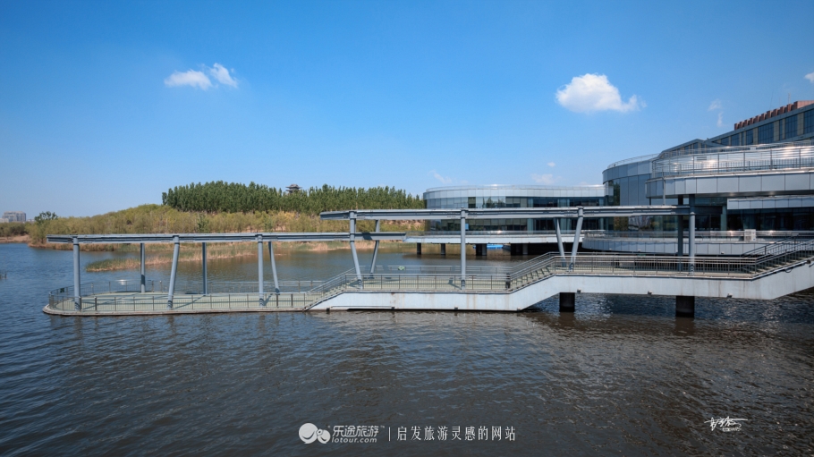 每一个热爱足球的都是天使,每个热爱足球的人都有自己的心