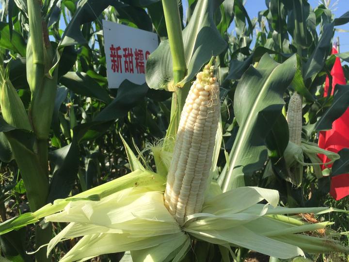 为什么阿迪达斯的鞋盒这么破,阿迪达斯鞋盒破损不能退怎么办