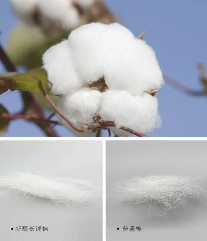 店庆半价优惠政策,店庆优惠方案