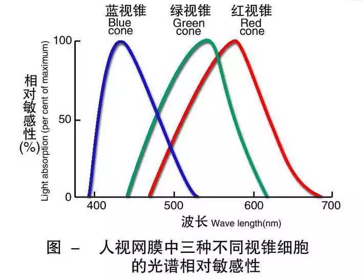 为什么绿灰色的鞋子有人是粉白色,粉白灰绿鞋子原本是什么颜色