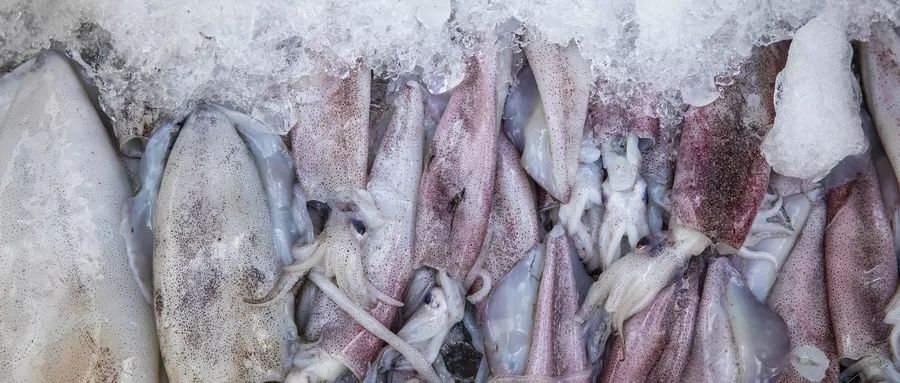 皮皮虾等8种海鲜，今天起金华禁售！别担心，还有这些初夏小美好→