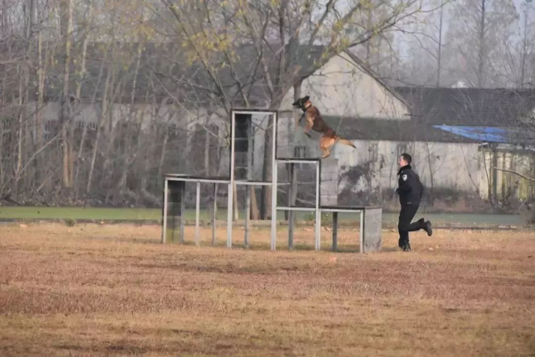 南京儿童奔跑吧夏令营,奔跑吧少年夏令营报名南京