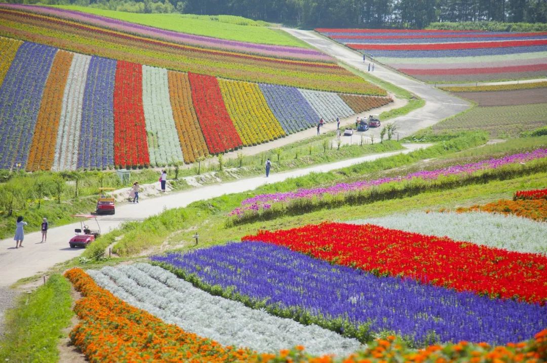 日本新时代什么时候开始,日本现代新时代
