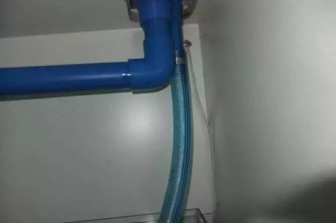 1.5米生态缸的用料及造景,1.2米的缸适合做什么缸