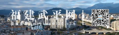 8.5万借款秒变“投资”？武平法院：名为借贷实为传销！