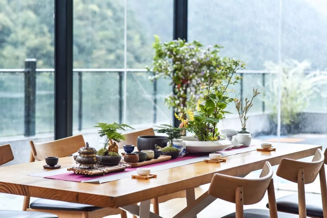 不必去芬兰了，杭州高铁1h就藏着一万颗星星的玻璃屋，过2天山野生活正好！