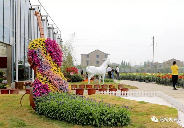 “百合节”开园｜100亩七彩花田，1000000株百合花，等你来