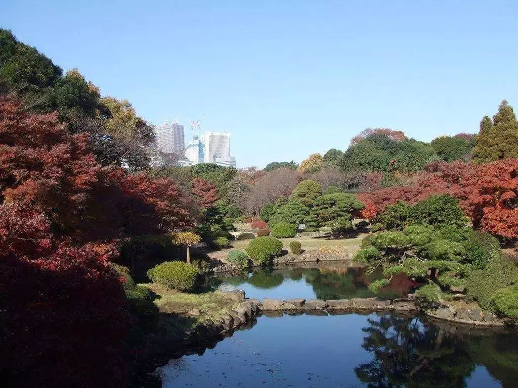 日本蚊子驱蚊神器,夏天灭蚊必备好物