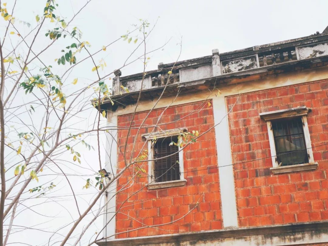 鏉ヨ嚜闂藉崡璇殑鑻辫璇嶆眹,鏀跺綍闂藉崡璇殑鑻辫璇嶆眹