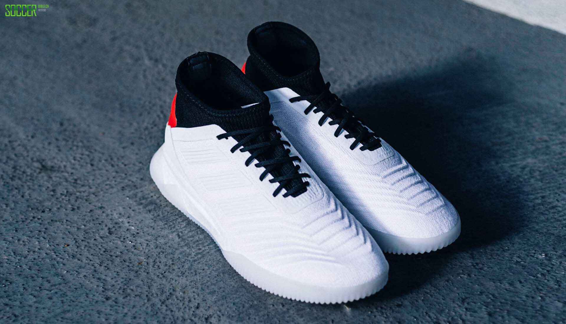 闃胯开杈炬柉predator19.2,闃胯开杈炬柉predator19.1tr