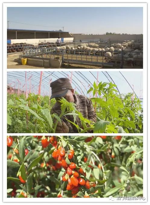 澹附70骞村鏂楁柊鏃朵唬瀹佸鍥哄師,澹附70骞村鏂楁柊鏃朵唬鍙戝睍缁艰堪