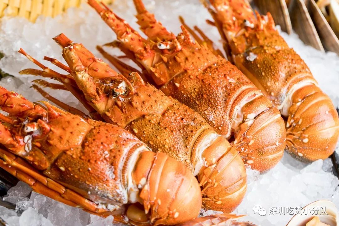 大中华喜来登酒店自助餐团购电话,深圳大中华喜来登酒店自助餐