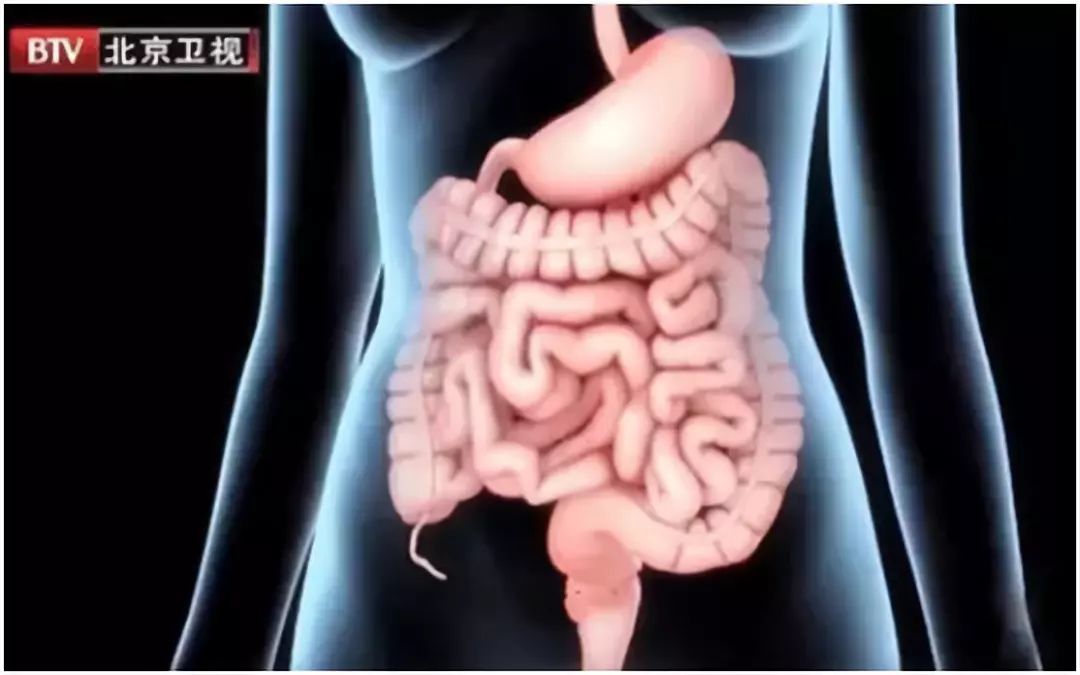 肚子老是咕咕叫是什么原因造成的,肚子总是咕咕叫是什么症状呢