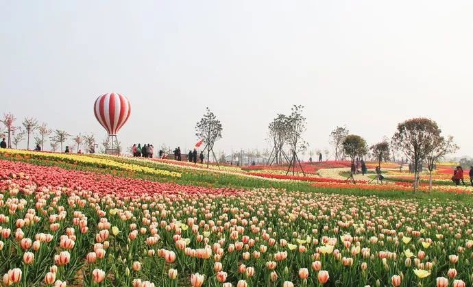 孝感到底有多惊艳,湖北孝感有什么特色