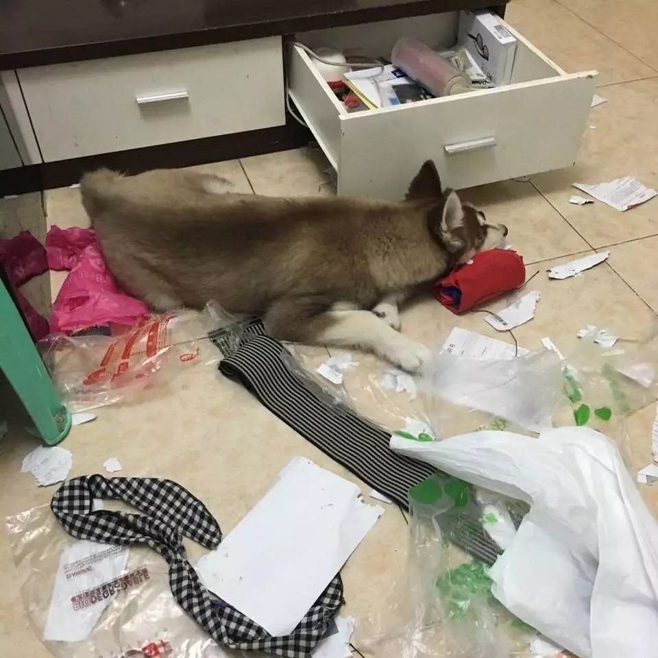 把我设置成不可见了是什么心态,为什么有人把朋友圈设成三天可见