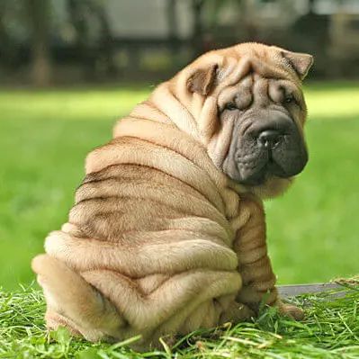 朋友圈设成三天可见代表着什么,有时候把朋友圈设成三天可见