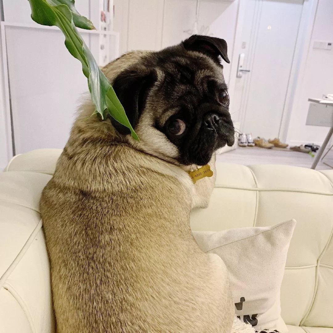 为什么有人把朋友圈设成三天可见,微信怎样把一个人设成三天可见