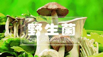 云南吃菌中毒分布图,云南吃菌中毒最新统计